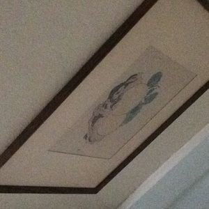 Meet your Posher, Lance